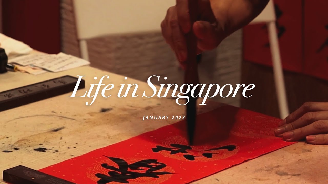 Singapore Daily Life Vlog | New Camera | Eating Durian | Exploring Chinatown