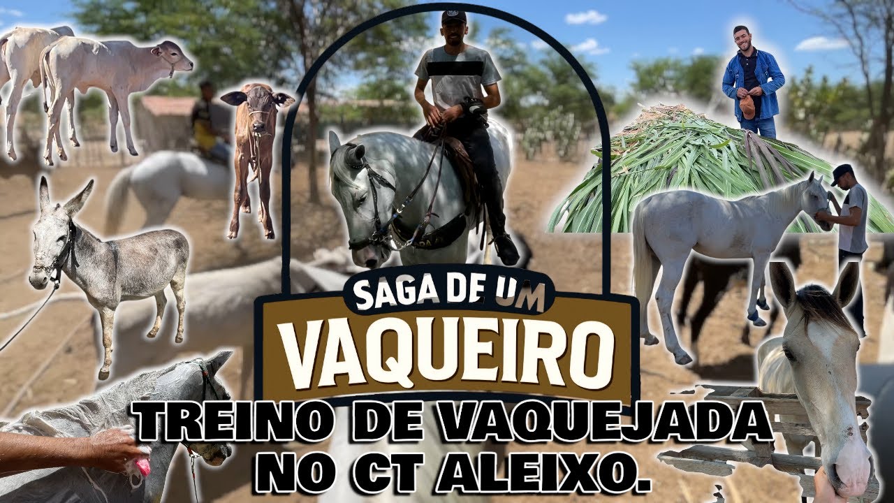 DIA DE TREINO DE VAQUEJADA NO CT 🐎