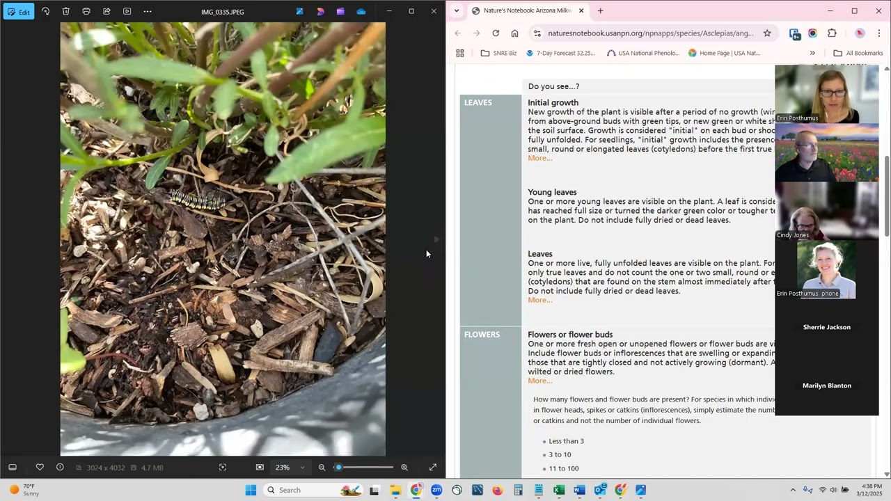 Time to Restore - How to make an observation in Nature's Notebook training