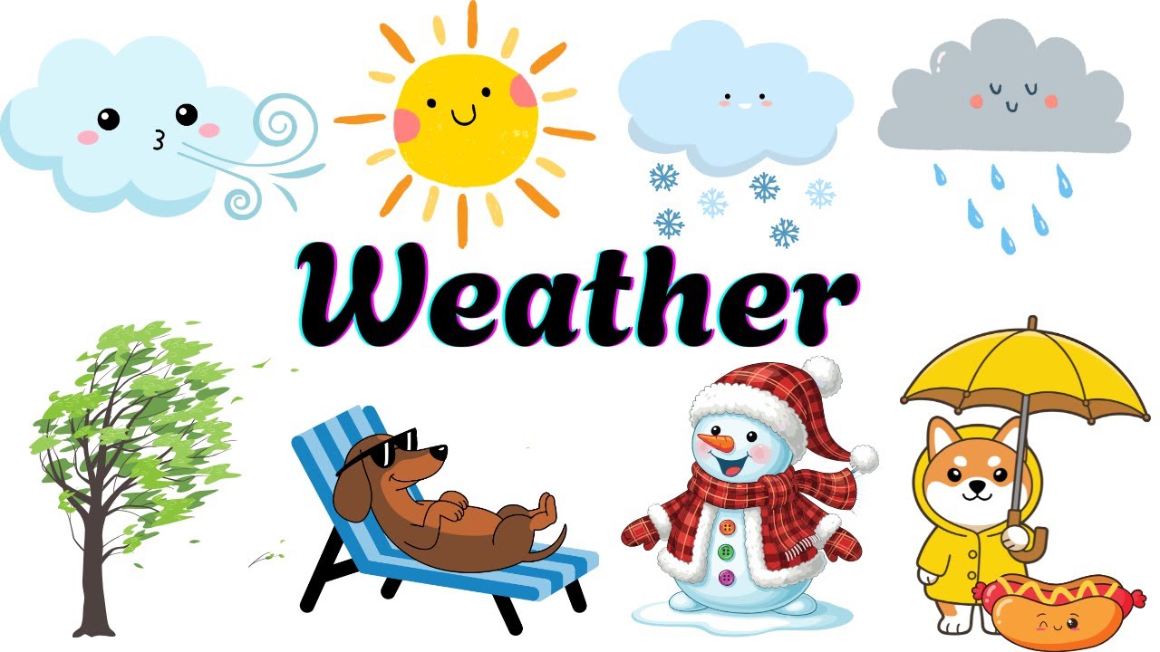 Weather Vocabulary + Quiz