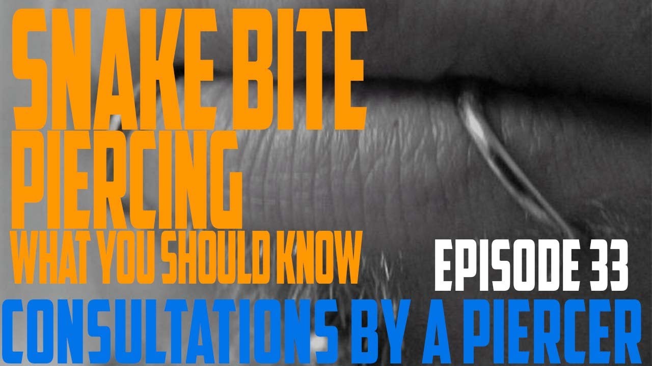 Snake Bite Piercings What You Should Know - Consultations by a Piercer EP33