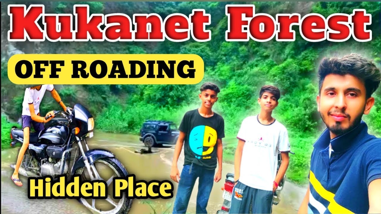 Kukanet Forest😍 | Kukanet Biggest Forest of Hoshiarpur punjab |