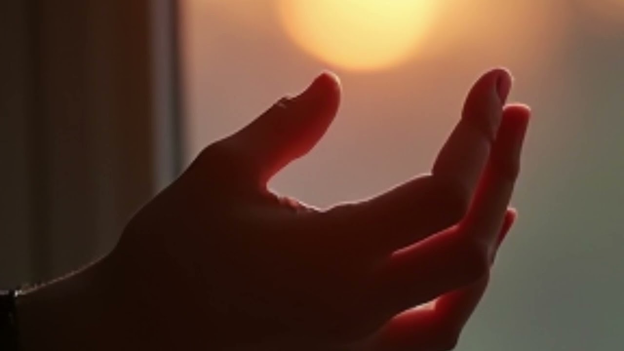 Solace is For You