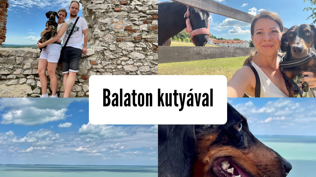 Balatoni kirándulás kutyával