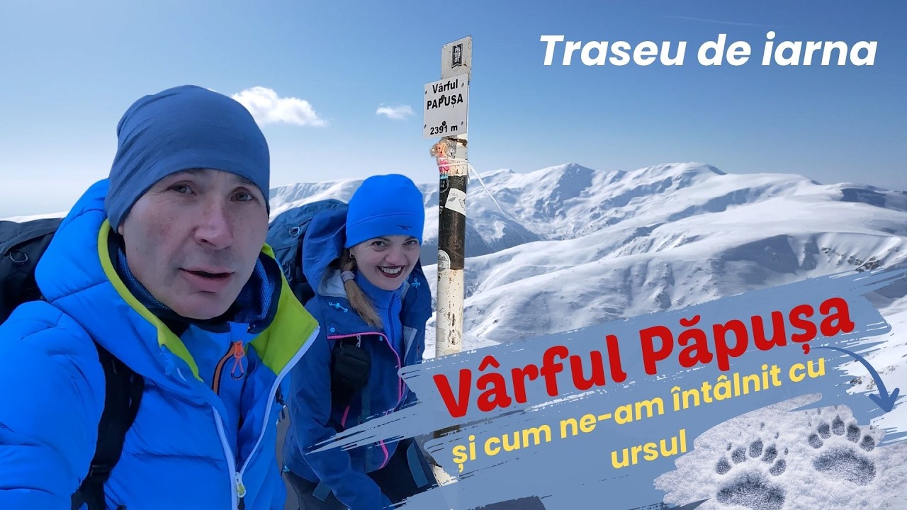 Varful Papusa iarna: n-am crezut ca ni se poate intampla asta! Ursoaica cu pui pe traseu!