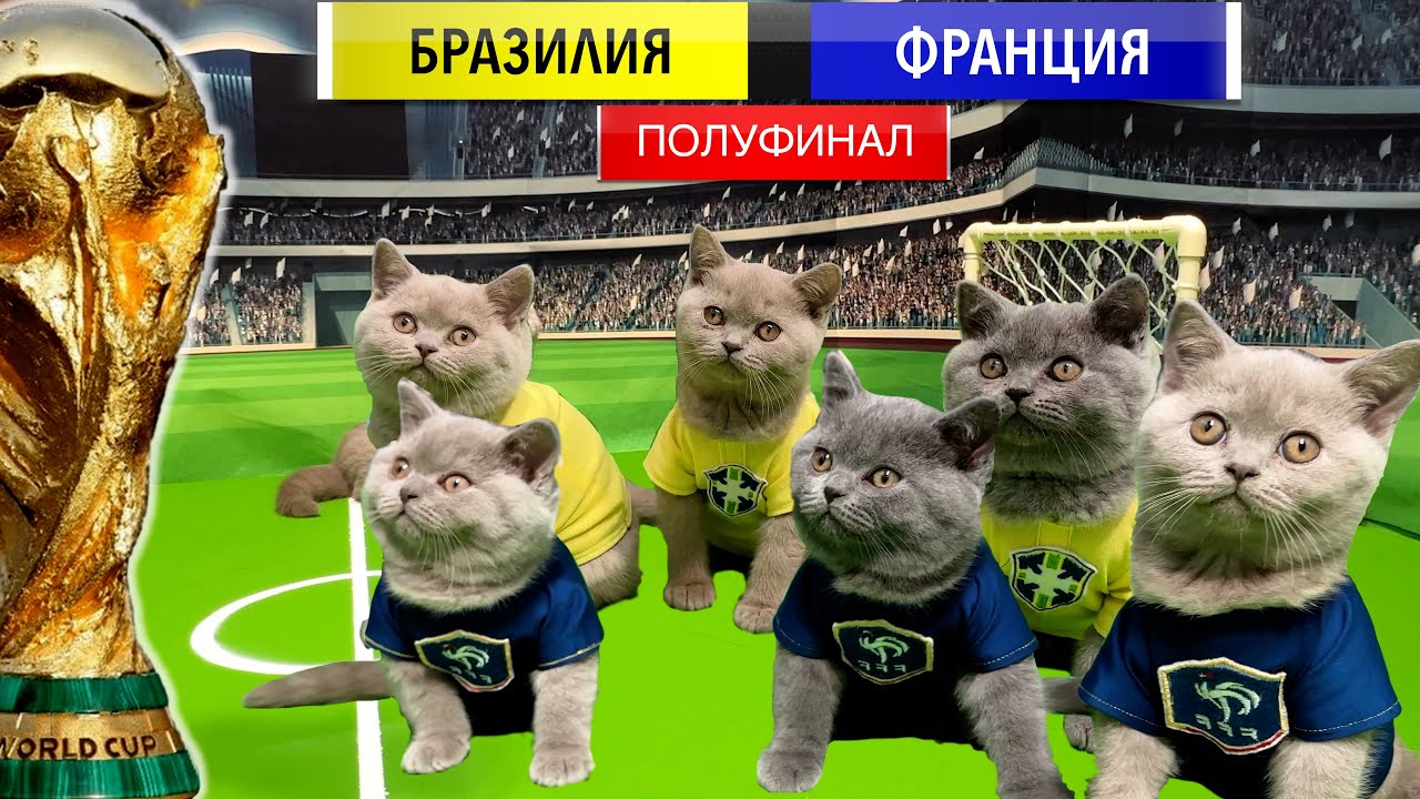33 КОТЁНКА - ВПЕРВЫЕ! КОТЫ КОТЯТА ИГРАЮТ В ФУТБОЛ! ЧЕМПИОНАТ МИРА ВТОРОЙ МАТЧ ПОЛУФИНАЛА!
