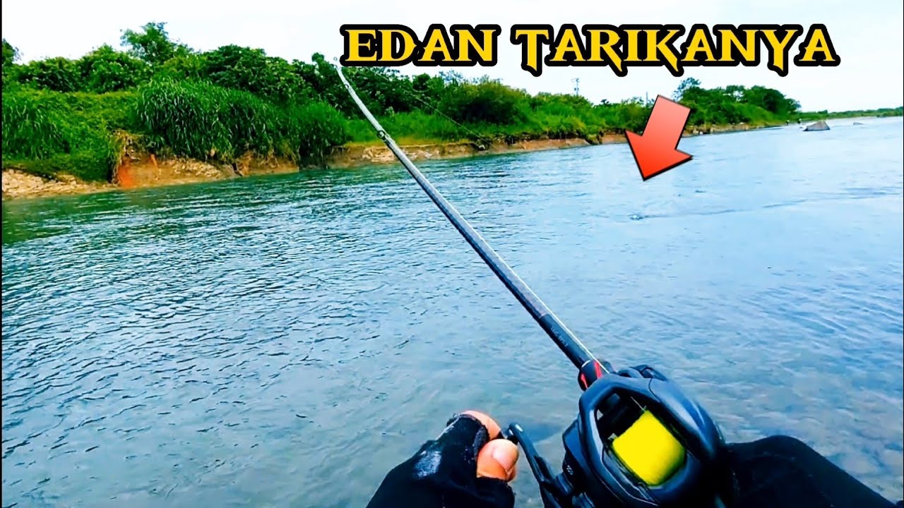 TERNYATA ARUS DERAS INI ‼️ mancing casting ikan gabus di sungai