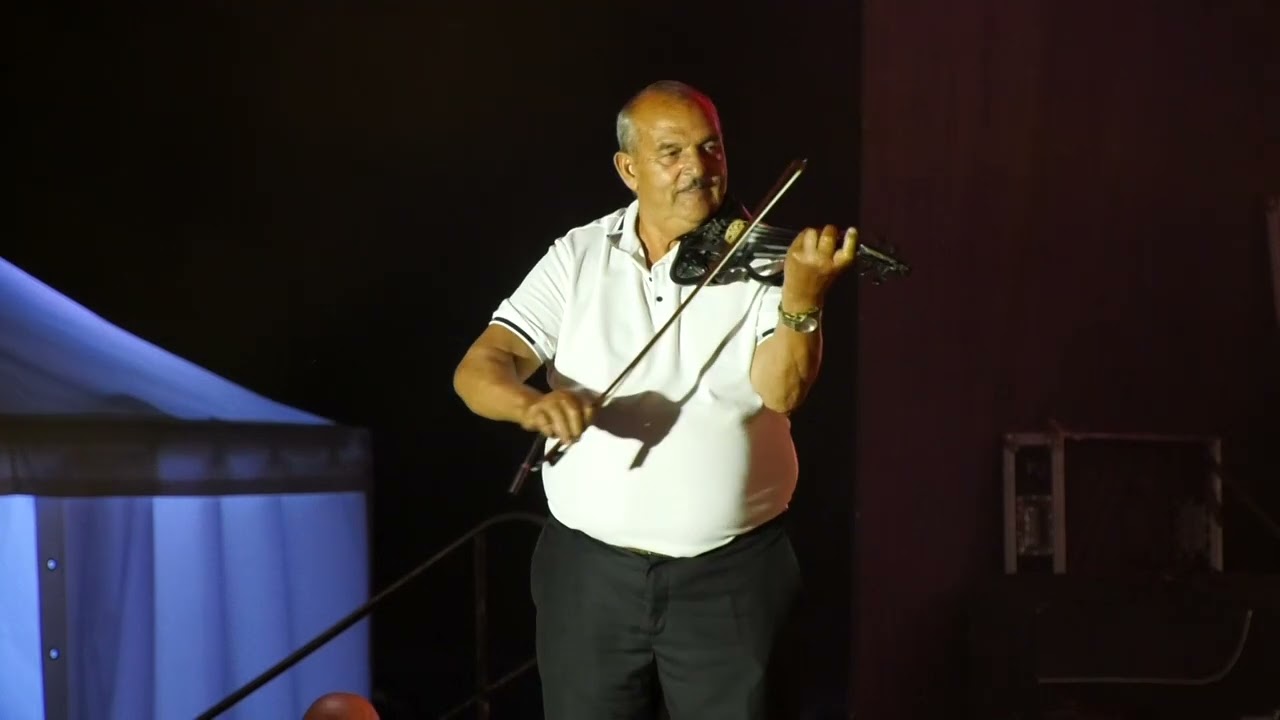 Sabor violinista Srbije 2024 - Božo Simić
