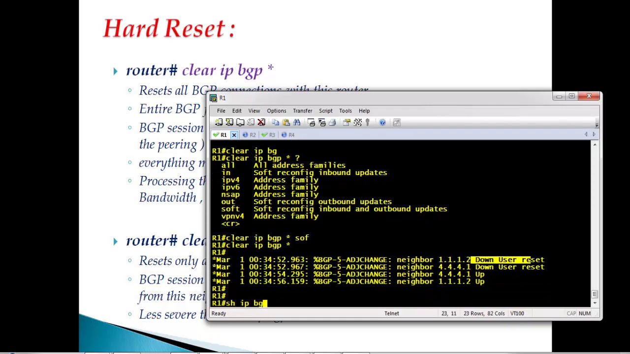 608 Clear ip bgp sessions