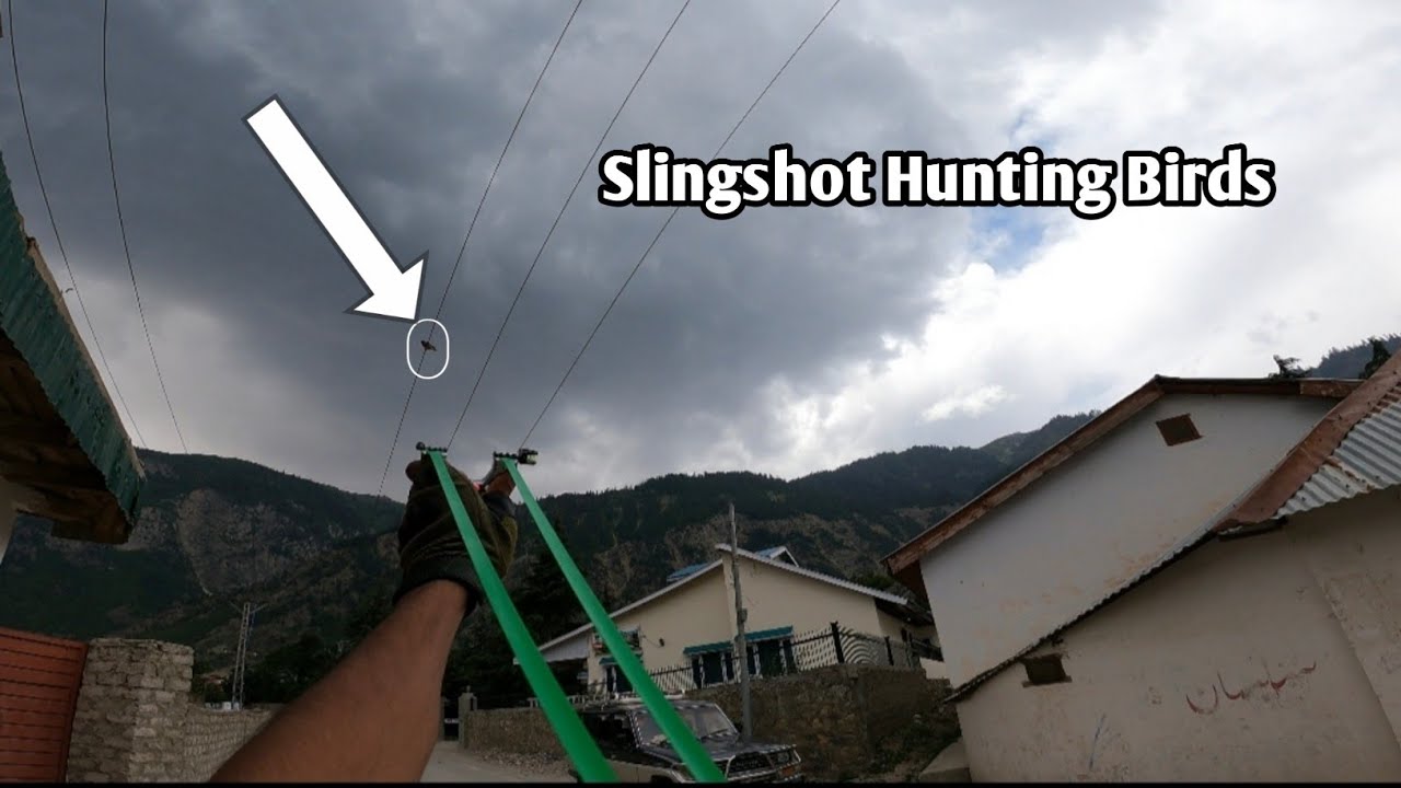 Slingshot Hunting Birds in Pakistan