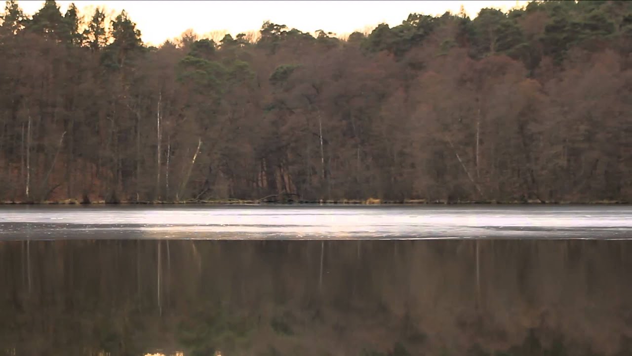 Schlaubetal am Hammersee