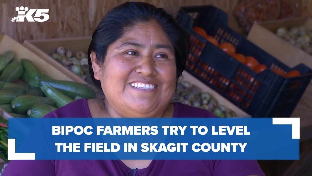 BIPOC farmers try to level the field in Skagit County