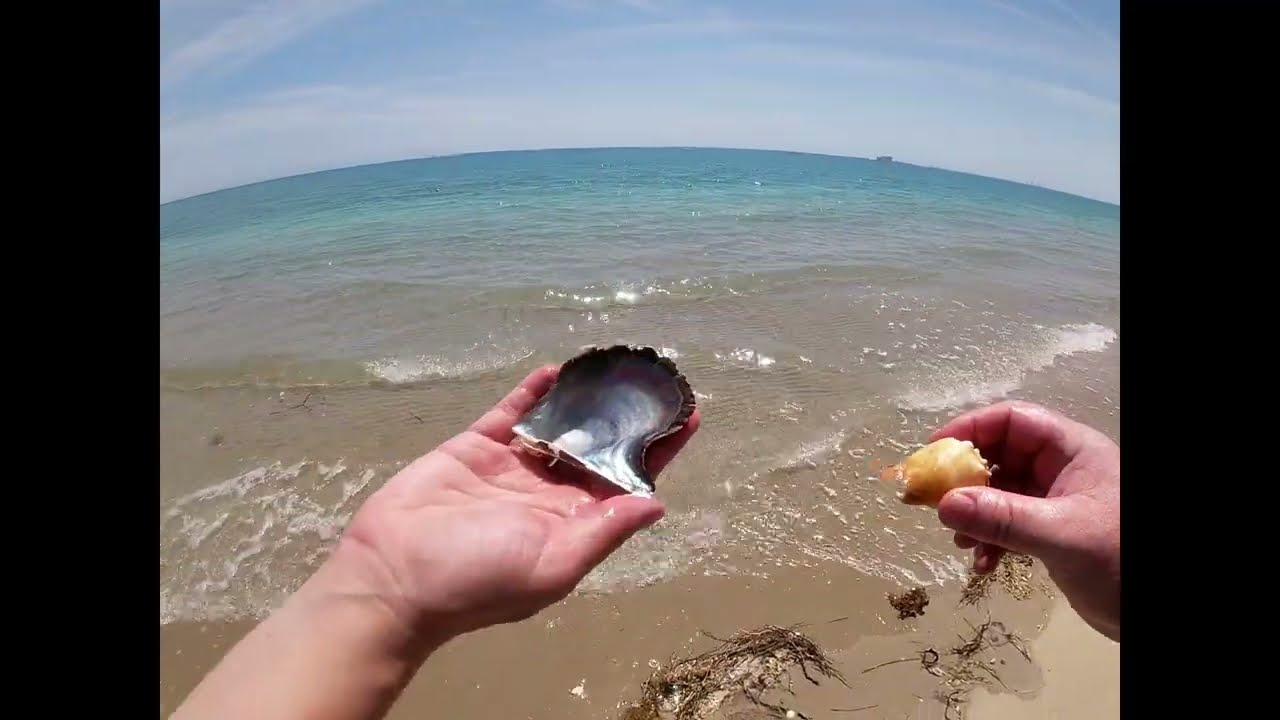 Shelling Puerto Penasco Part 1