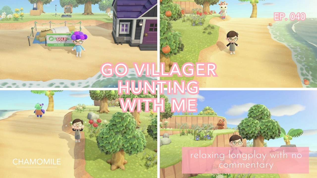 Go Villager Hunting with Me | ACNH Relaxing Longplay with No Commentary (Ep. 040)