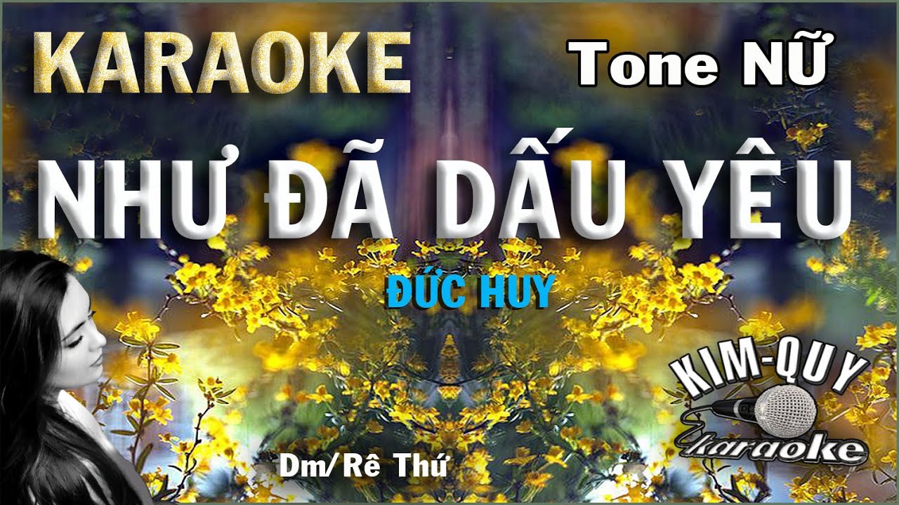Karaoke NHƯ ĐÃ DẤU YÊU (Đức Huy) Ballad - Tone NỮ (Dm/Rê Thứ) KIM QUY KARAOKE