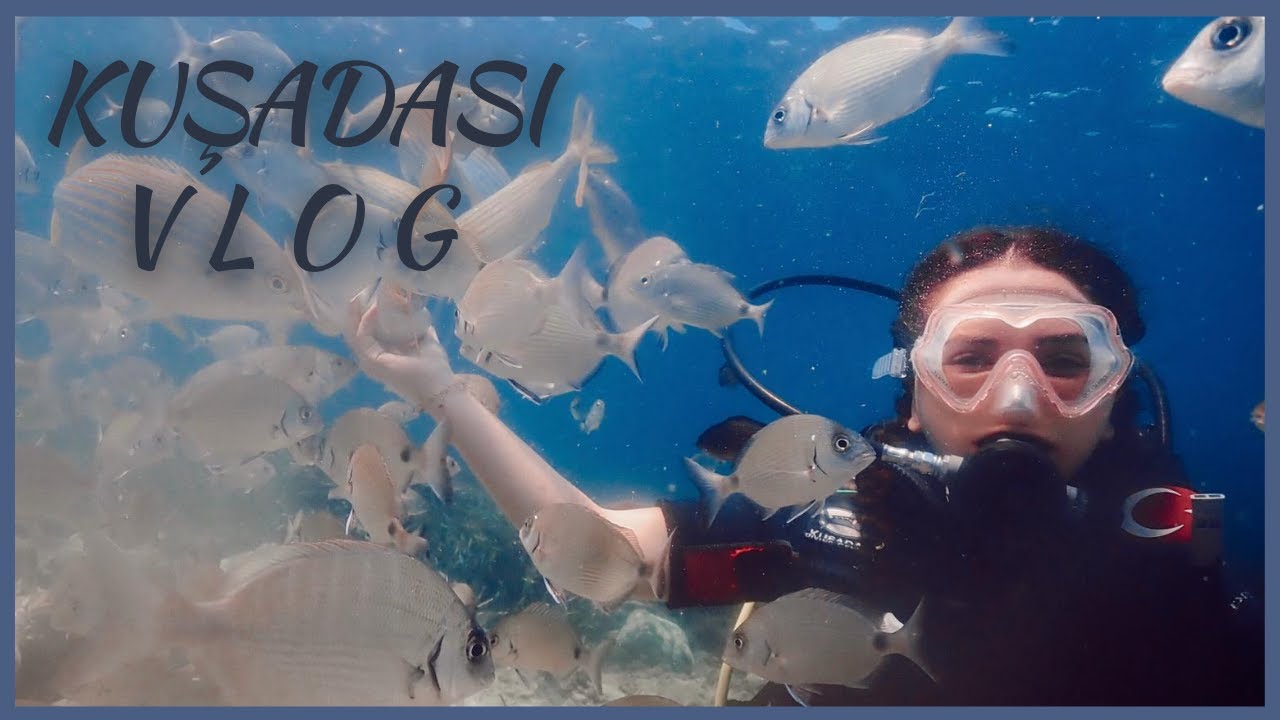 KUŞADASI VLOG | TÜPLÜ DALIŞ YAPTIK, SUSHİ YEDİK!! | EĞİTMENİNDEN TÜPLÜ DALIŞ KURALLARI