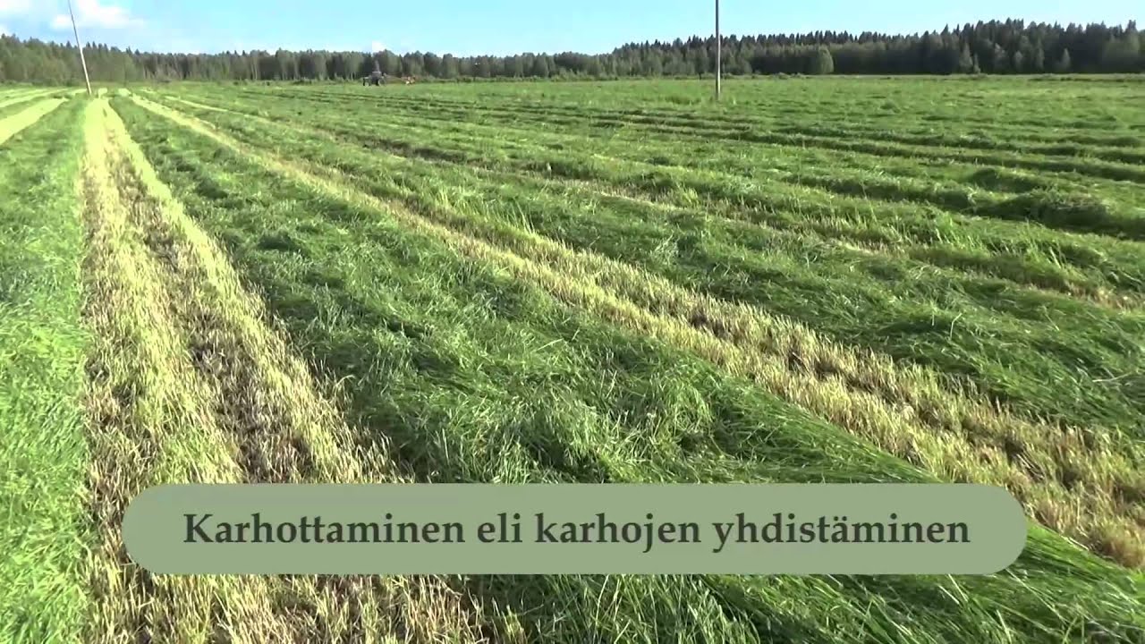 2015 kesän peltotöitä, Mty Lamberg