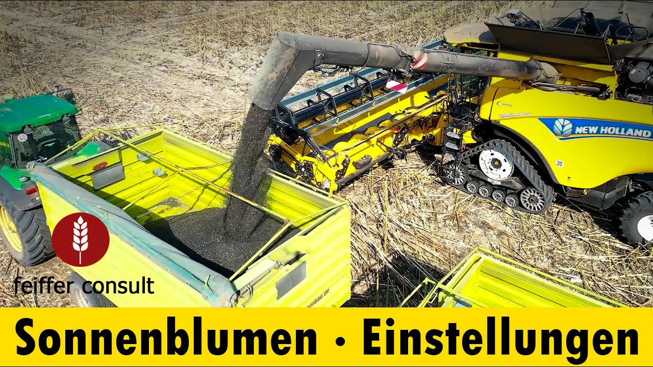Erntetipps Sonnenblumen Teil 3: Einstellung - Mähdrescher optimal einstellen und Verluste senken