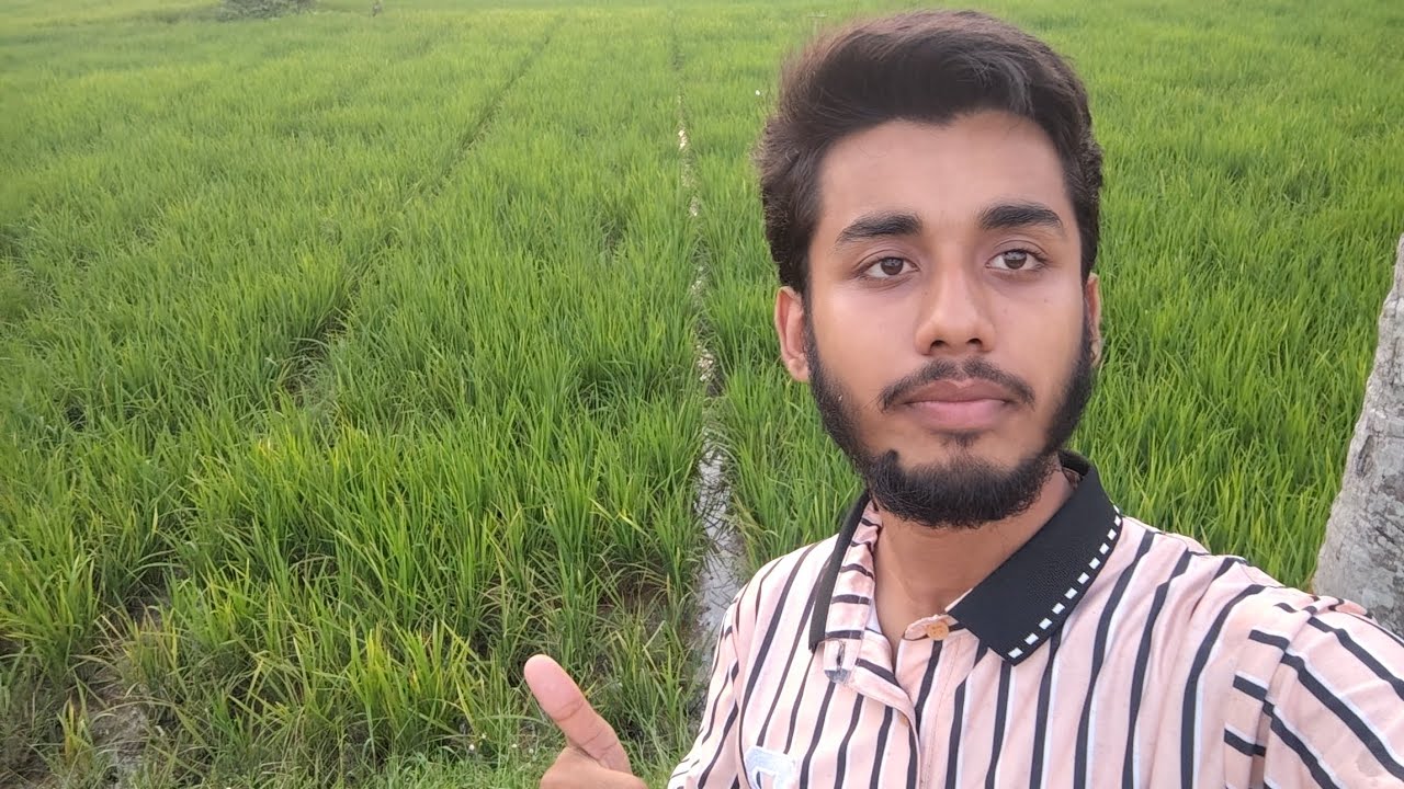How to Describe a Place in English | ইংরেজিতে কোনো জায়গাকে কিভাবে বর্ণনা করবেন 🤔✅
