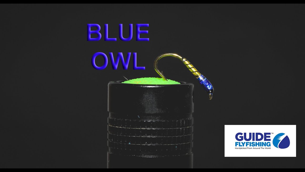 Fly Tying The Blue Owl Buzzer