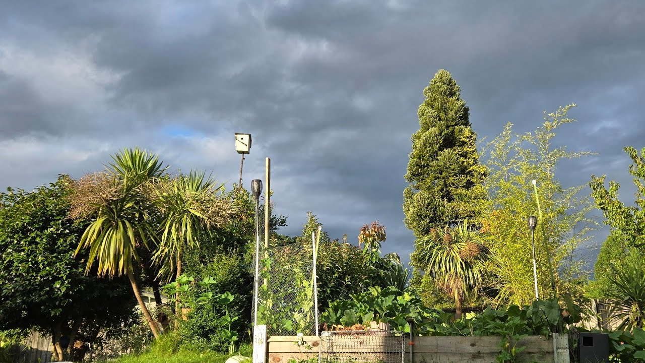 expecting Rain thunderstorm suspicious weather