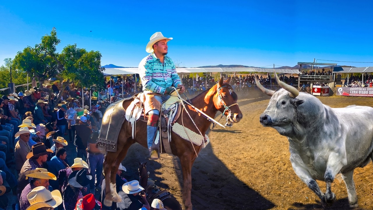 ESTUVO DE LUJO ESTE JARIPEO!! TOROS BRAVOS BUSCA CABALLOS MANZA MICHOACAN 26 DICIEMBRE 2024 HILARIO