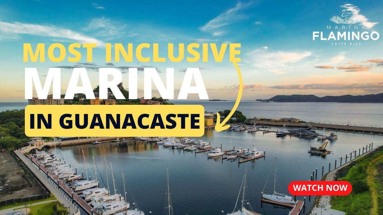 Exploring the Enchanting Flamingo Marina: A Tropical Paradise Awaits