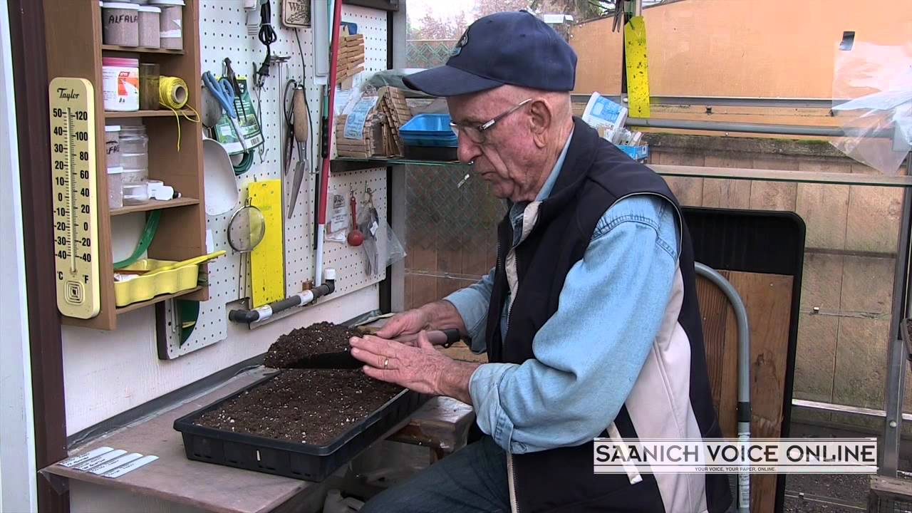 How to Grow Giant Onions