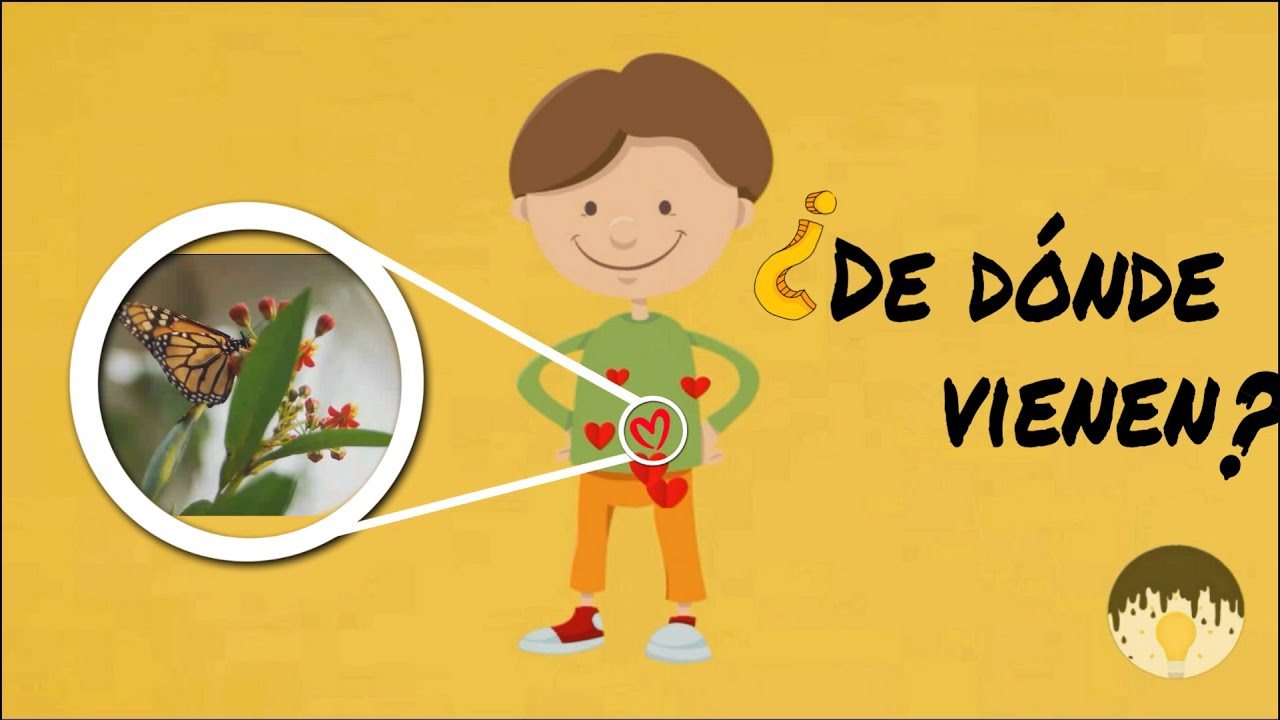 ¿Qué son las Mariposas en el Estomago? / +DATO CAURIOSO