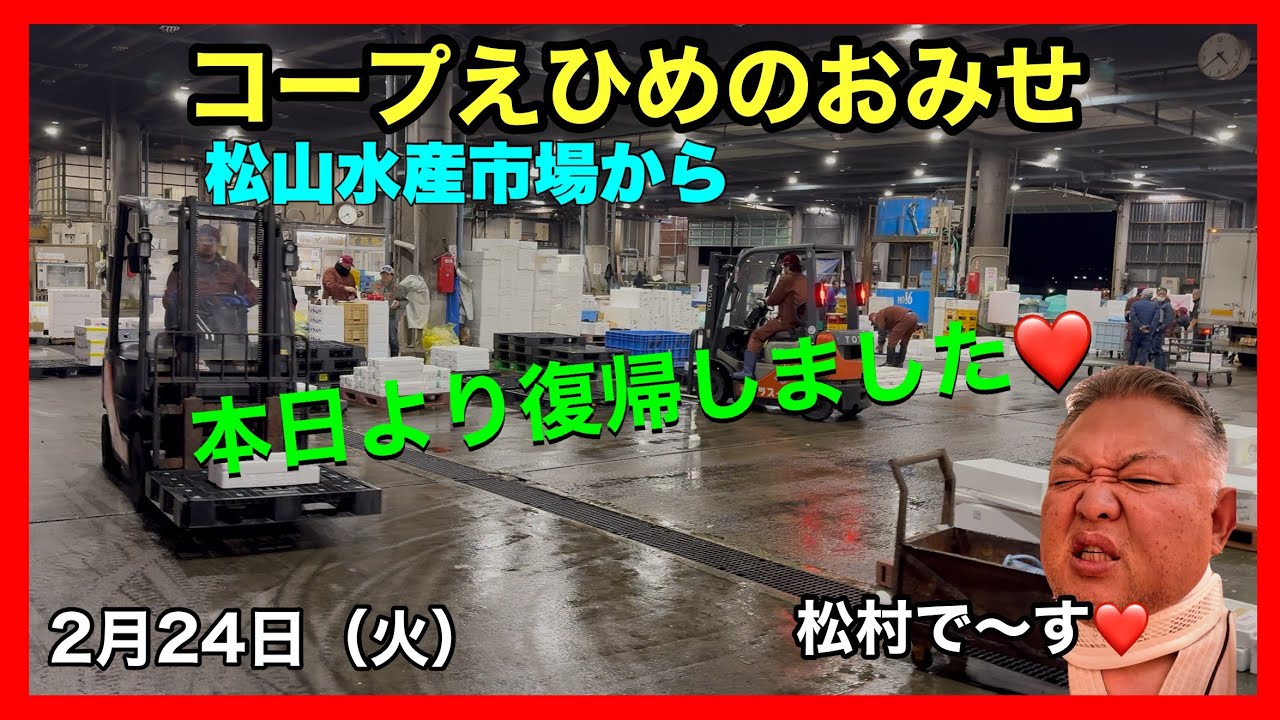 松山市 新居浜市 今治市 スーパー おすすめ 野菜 魚 肉 惣菜 新鮮 安い 品揃えがいい　　#瀬戸内海の魚　#コープえひめ　#松山水産市場