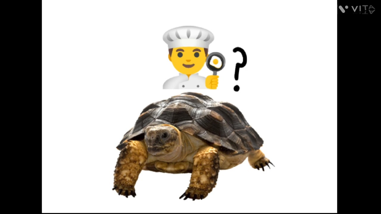 Turtle_7 - My first little music (did I cook?) 