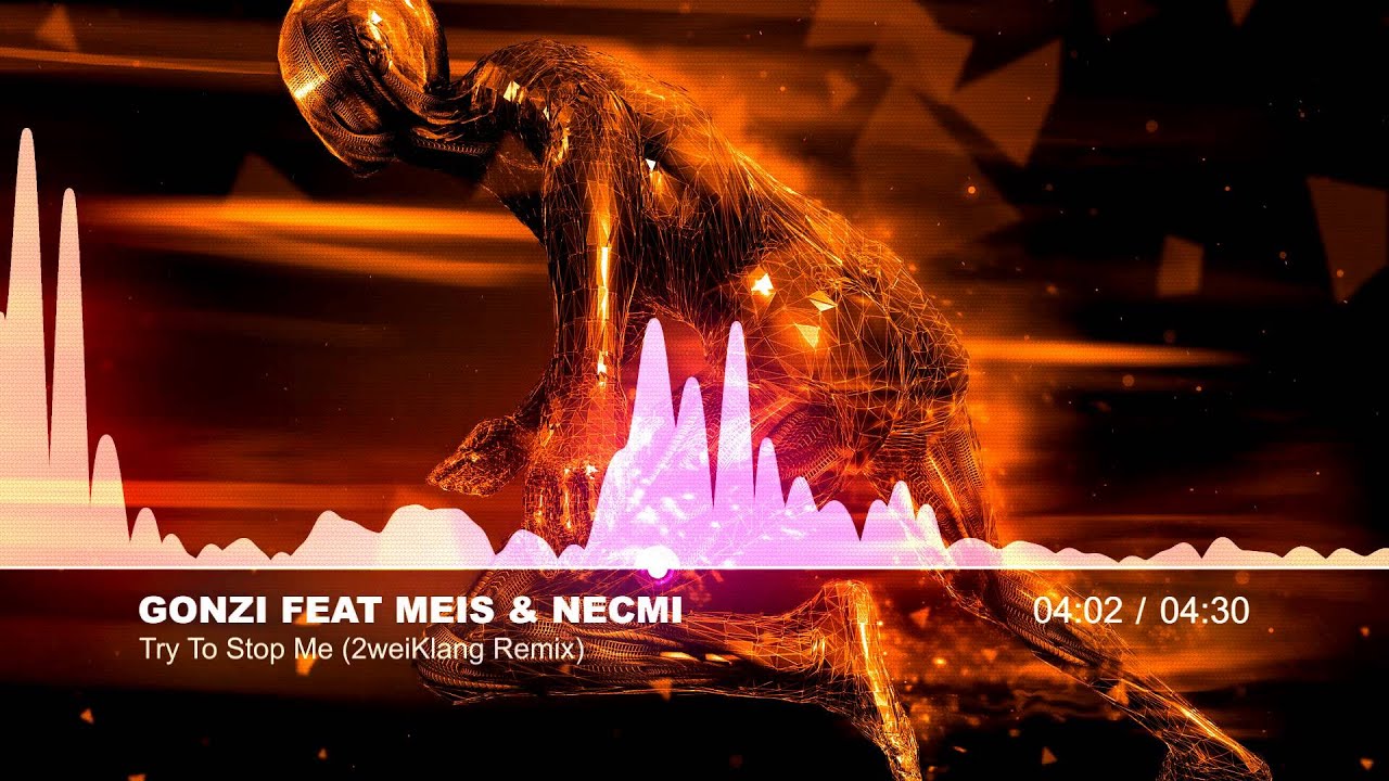 Gonzi Feat Meis & Necmi - Try To Stop Me (2weiKlang Remix)