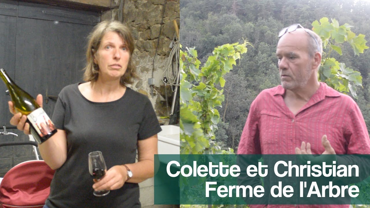 Colette et Christian de la Ferme de l'Arbre - Saint Joseph - Cuvée 3 coups