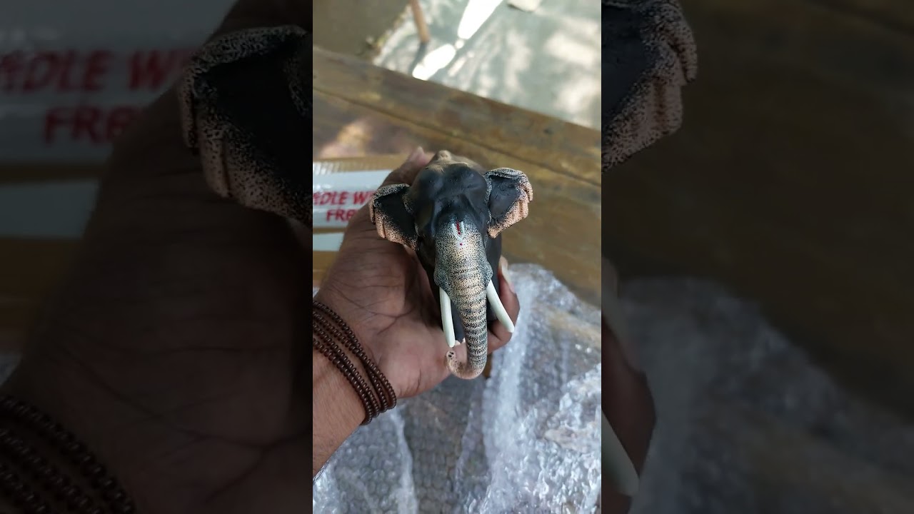 #elephant #statue #pampadirajan #aanapremi #aanachooru #aanakambam #aanamaker Aanamaker #Unboxing