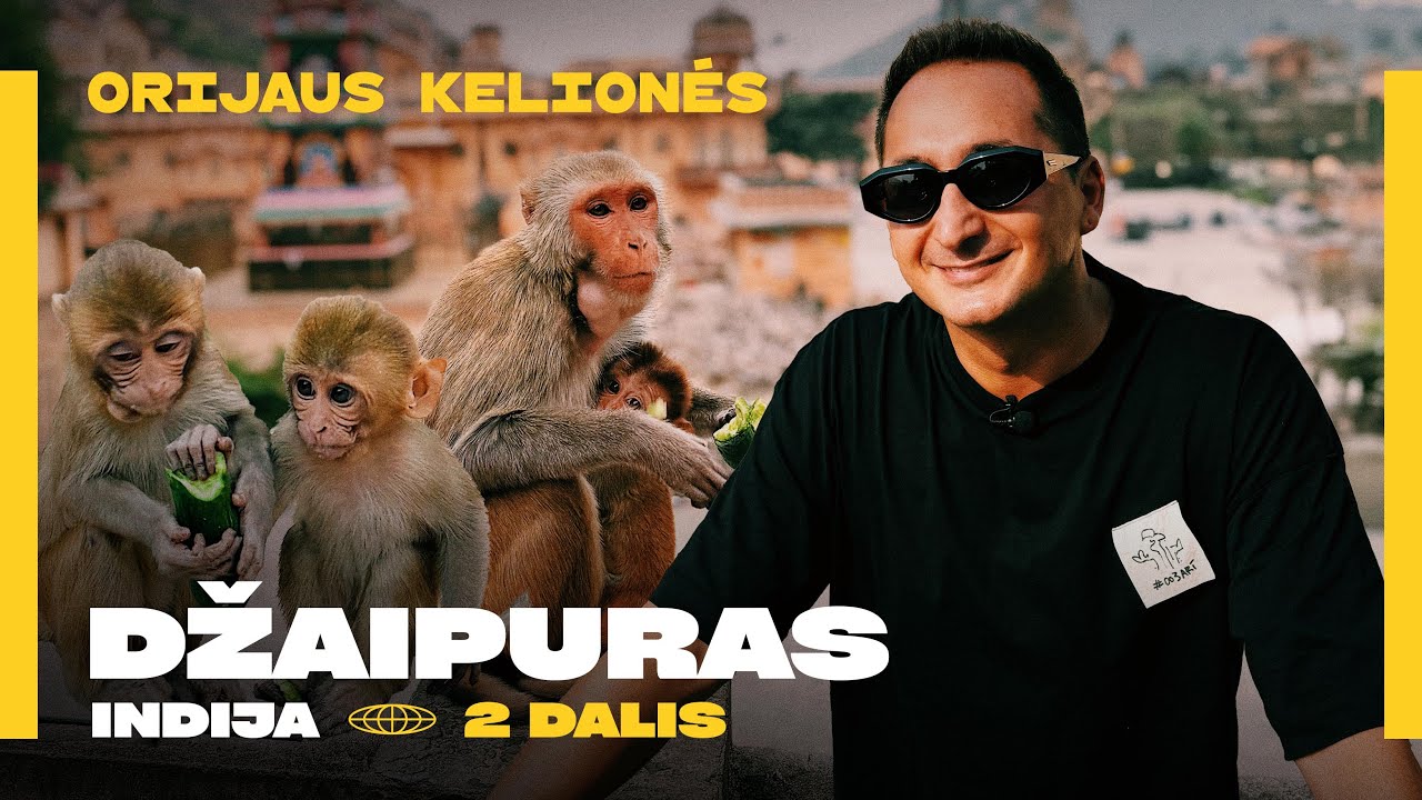 Orijaus kelionės. 5 sezonas, 15 laida. Indija. Džaipuras, 2 dalis - beždžionių rajonas