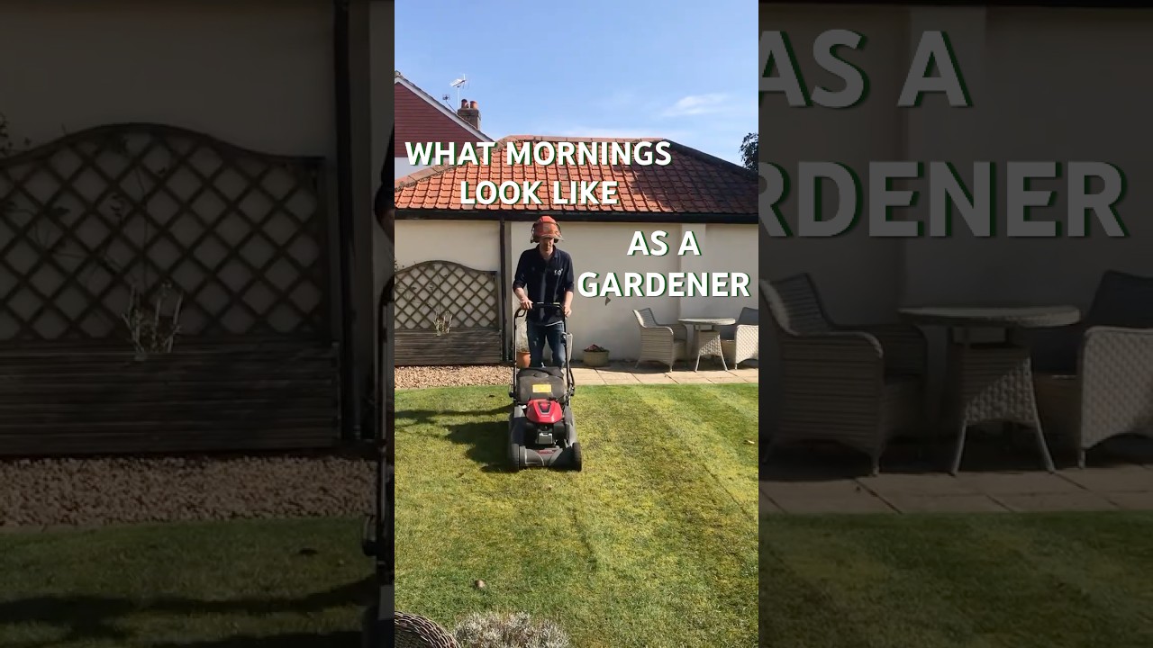 Mornings as a Gardener - Ed's Garden Services