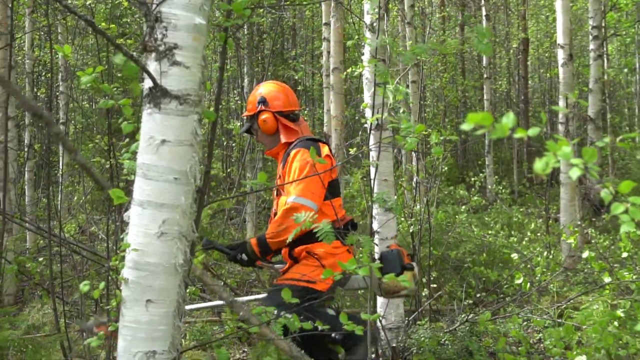 Ennakkoraivauksella kannattavuutta metsänhoitoon.