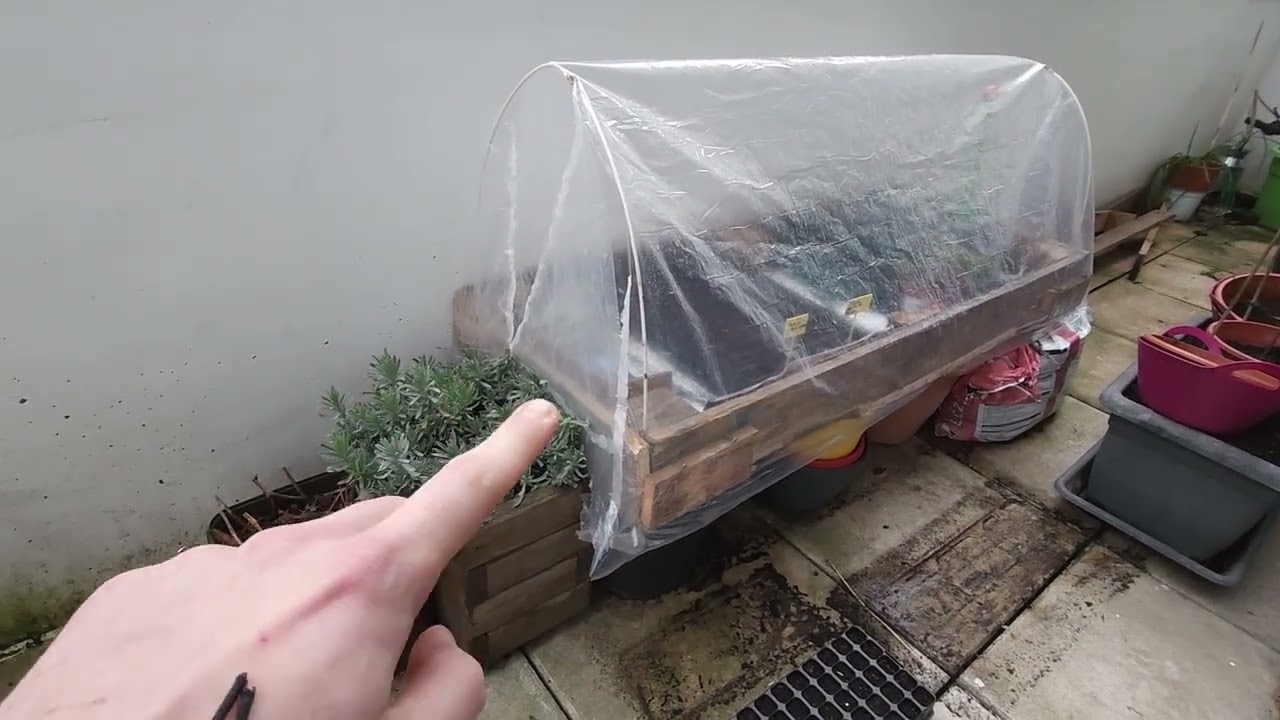 Construire une serre sans argent : mon système ultra simple