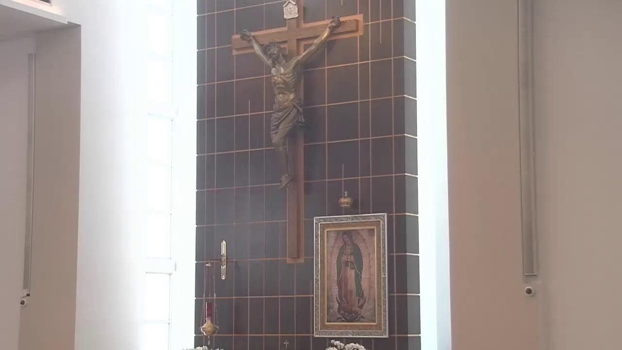Catholic Mass VII Sunday of Easter - 05-12-2024 - Our Lady of Guadalupe (11:45 AM)