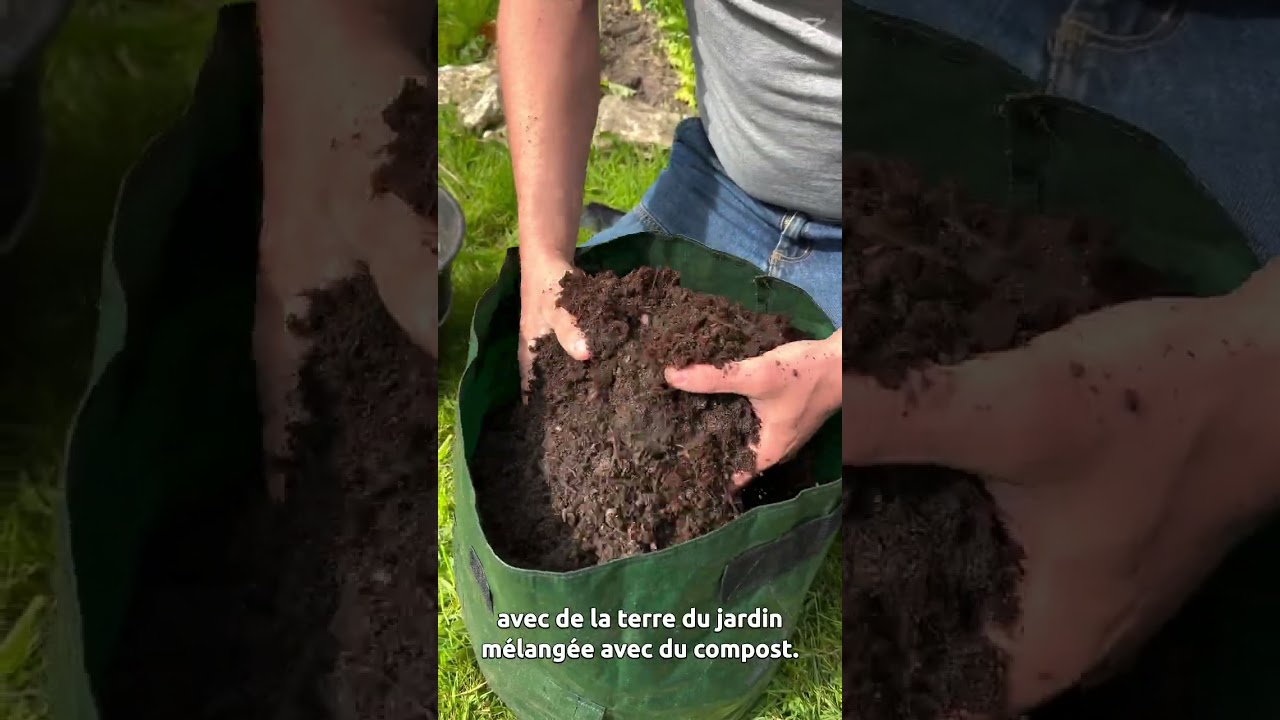 Cultiver ses patates ... dans un sac  #jardin #mrbricolage #potager #jardinage