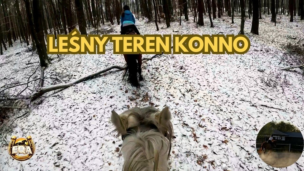 Koń w zimowym raju | Teren Tenczyński Park Krajobrazowym 🐎 4K