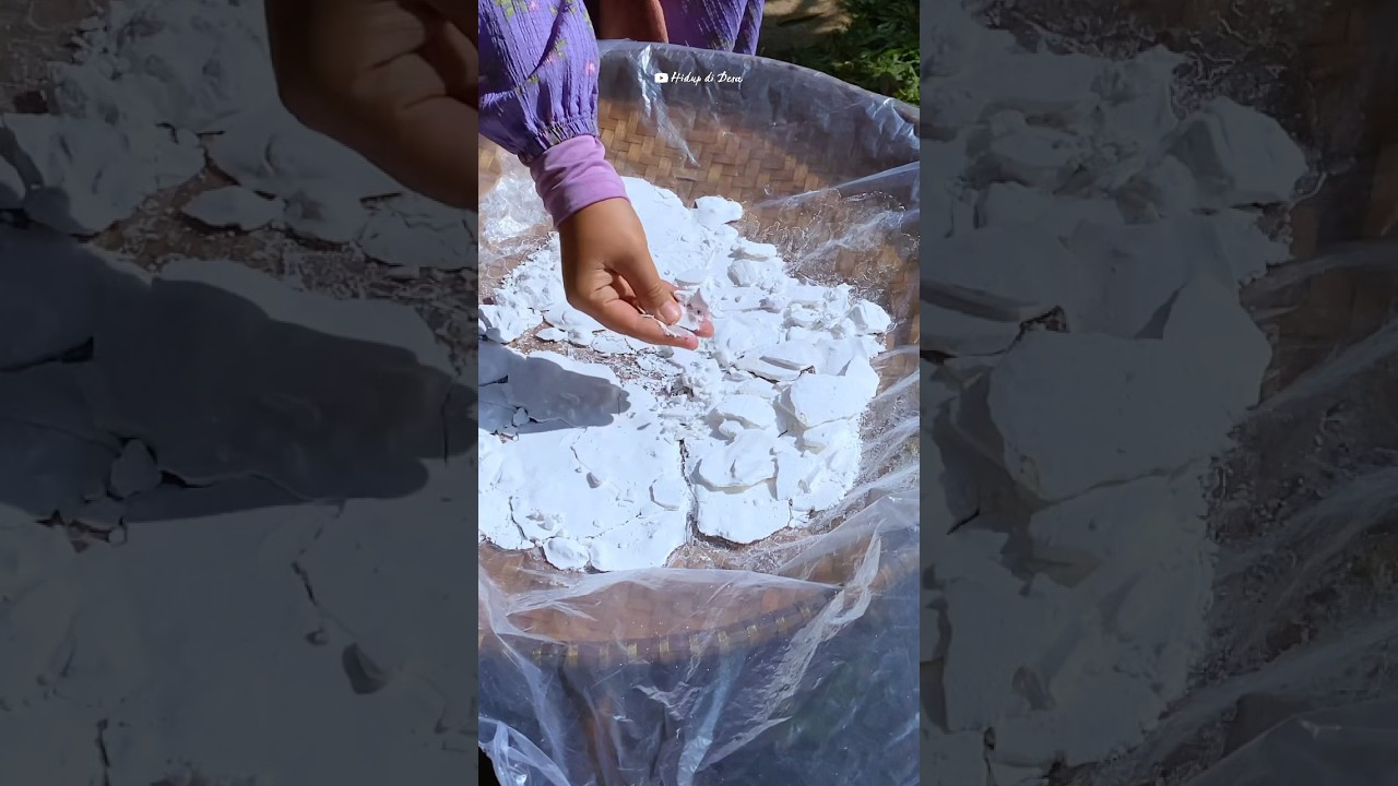 Membuat tepung tapioka dari panen singkong di kebun | cassava strach #countrysidevlog #rurallife