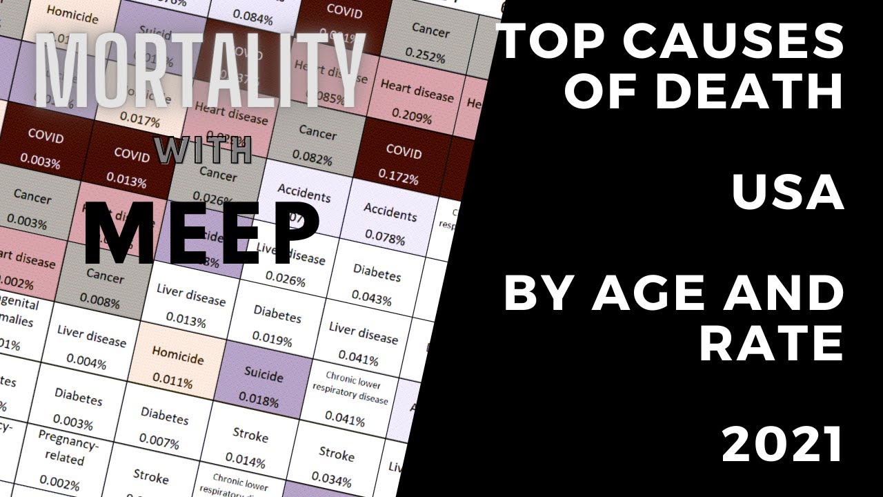 Top Causes of Death in the U.S. 2021 by Age and Rate