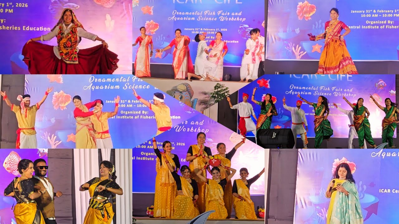 Cultural night Day 2 (Ornametal fish fair) at ICAR-CIFE Mumbai @CIFEMumbai 