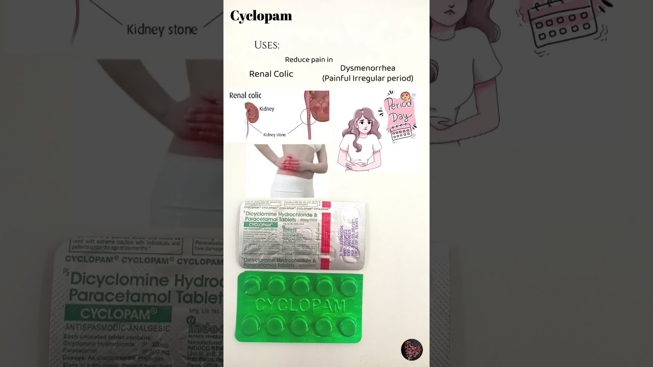 Cyclopam Tablet|Dicyclomine HCL|#stomachpain#periodpain |Uses and side effect|Medico Pharmacist