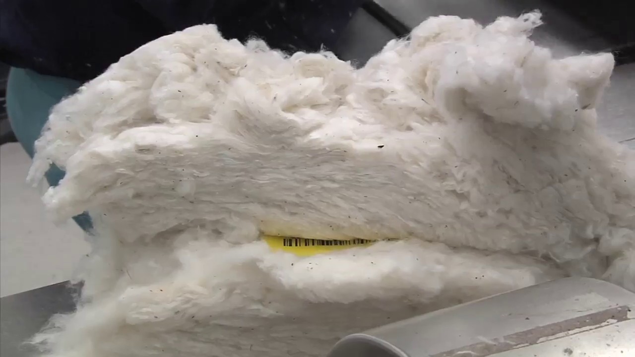 Classing Office Ensures High Quality of Georgia Cotton