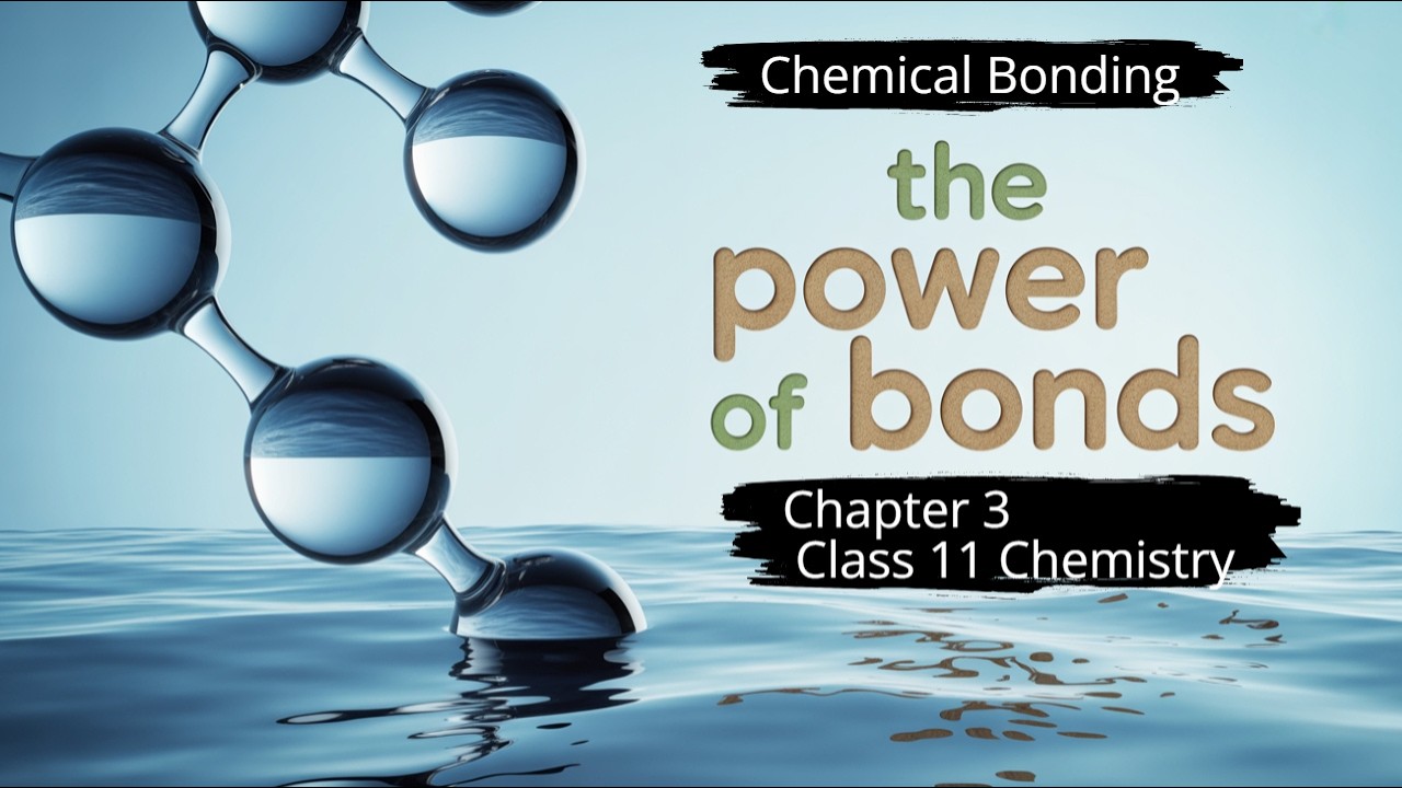 Class 11 Chemistry | Chapter 3 Chemical Bonding