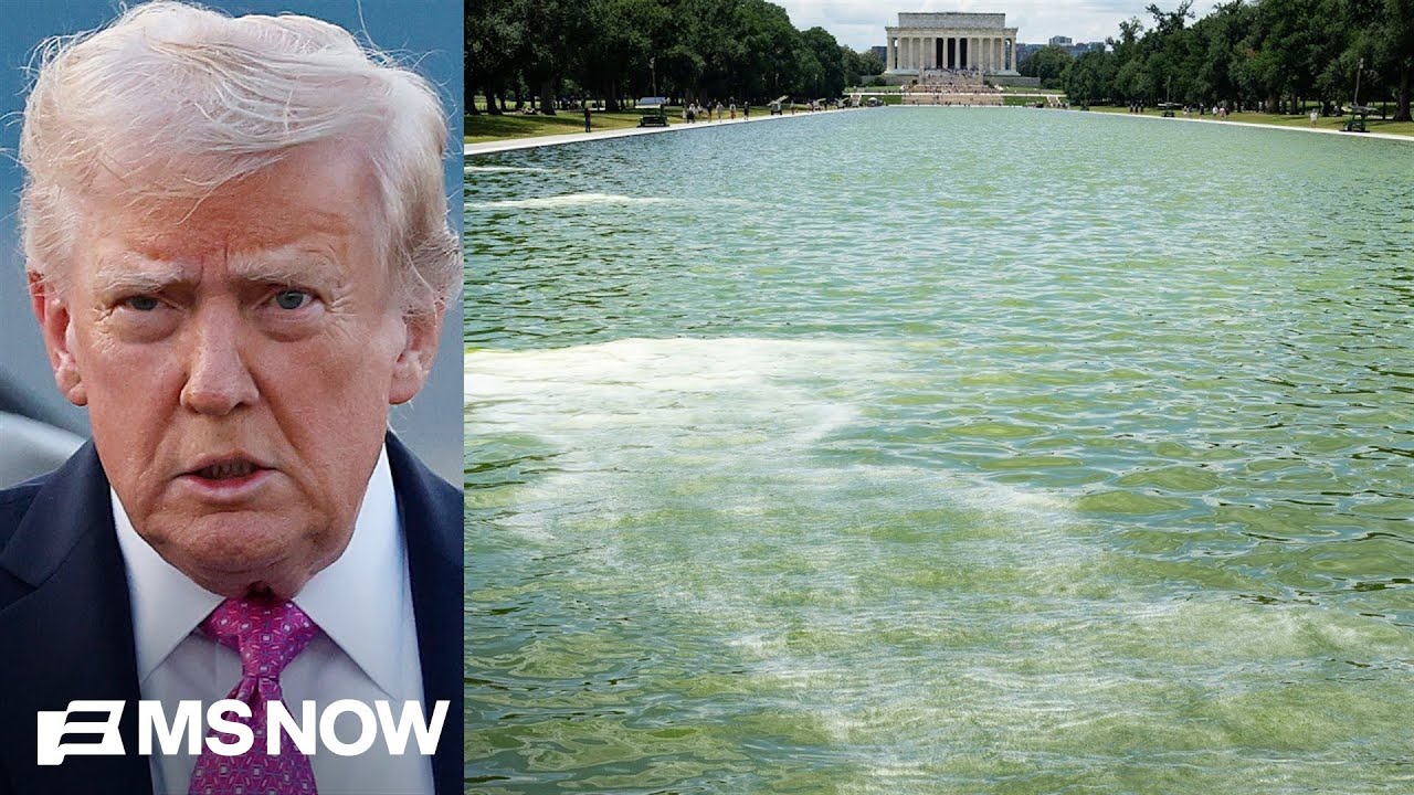 'Puke green': Visitors disappointed with algae-filled Lincoln reflecting pool after $14M renovation