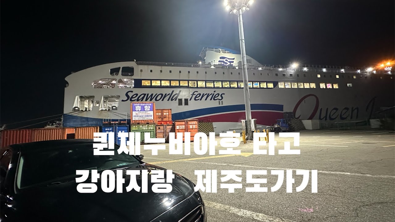 전기차(아이오닉6) 배타고 강아지랑 제주도가기! 퀸제누비아호 목포~제주 비용, 단점 & 장점 펫스탠다드 & 이코노미 차이
