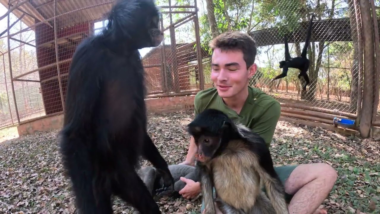 DIA DE ME DESPEDIR DOS MACACOS, VOU MORAR DO OUTRO LADO DO MUNDO POR 6 MESES! | TIAGO JÁCOMO